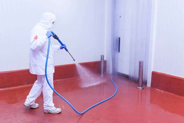Best Roof Washing  in Swift Trail Junction, AZ